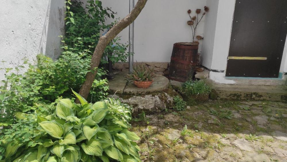Ubytovani Pod Jilmem Zar Exteriér fotografie
